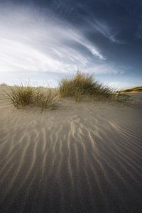 Dunes in soft light by Thom Brouwer