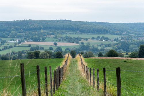 Pad naar beneden in Geuldal Zuid Limburg