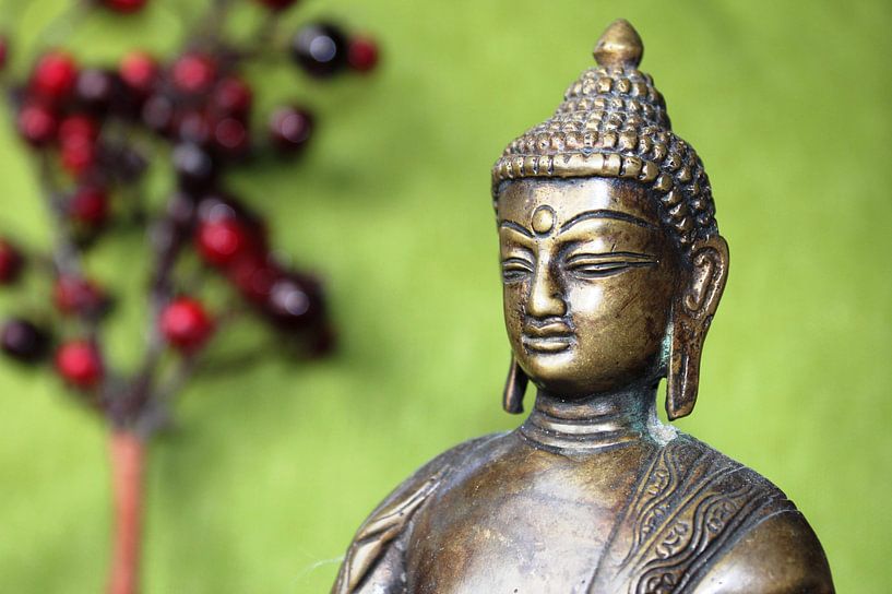 Buddha van Jellie van Althuis