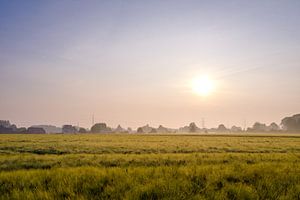 Sonnenaufgang über dem Feld in Hasselt