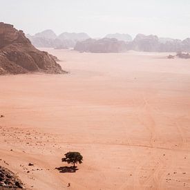 Wadi Rum in Jordanië van Dayenne van Peperstraten