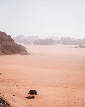 Wadi Rum in Jordanien von Dayenne van Peperstraten