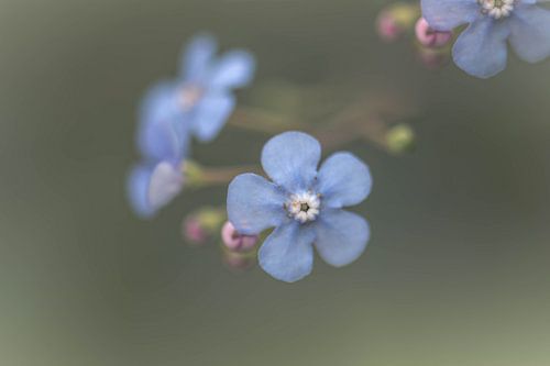 Aren't you forgetting me?