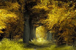 Morgendlicher Herbst von Kees van Dongen