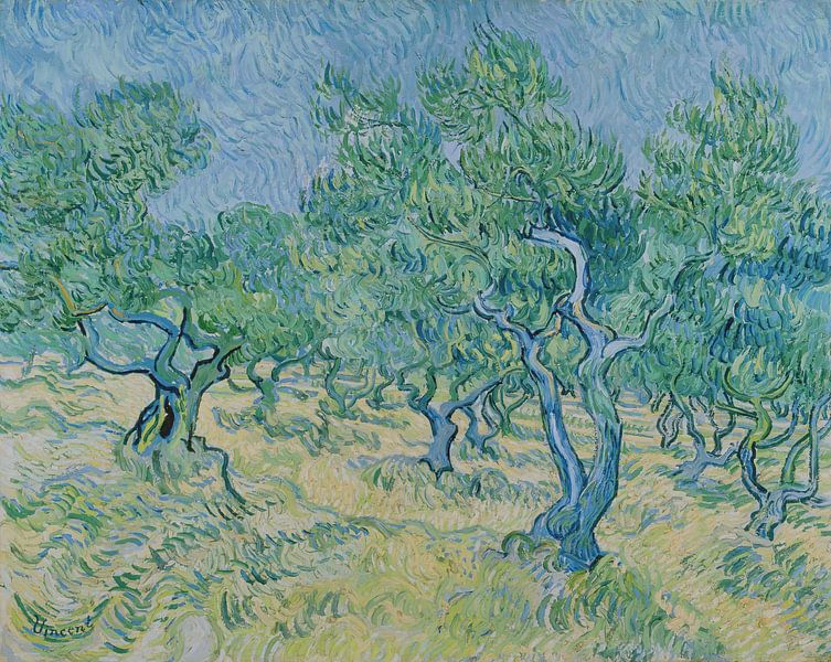 Olive grove, Vincent van Gogh by Masterful Masters