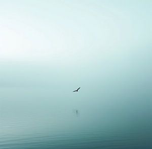 Ästhetischer Minimalismus