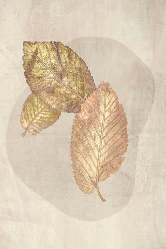 Scandinave. Dernières feuilles en beige. 1.