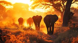 Elephants at dawn
