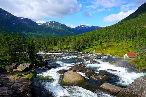 Idyllisch rivierlandschap in Noorwegen