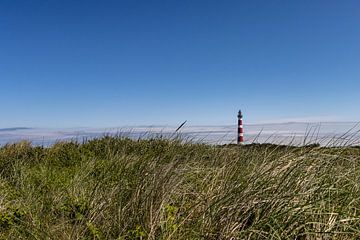 AMELAND Lighthouse in the dunes by Paul Veen