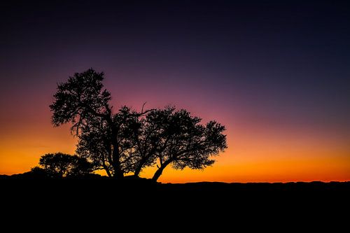 Schitterende zonsondergang en silhouette in de Namib Woestijn, Namibië