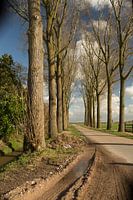 Lodijk