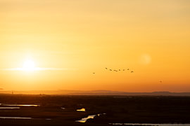 Abend in der Camargue von Anna Thiessen