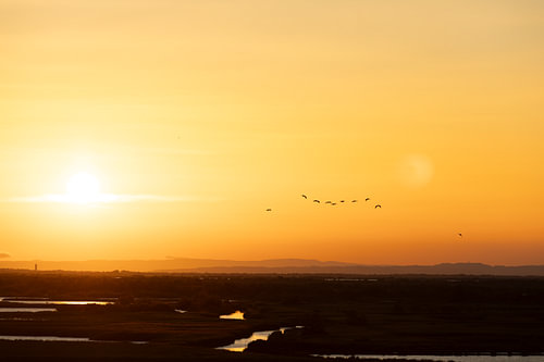 Soirée en Camargue