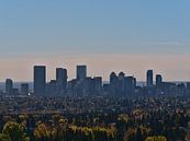 Calgary in de herfst van Timon Schneider thumbnail