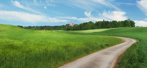 Weg in grüner Landschaft
