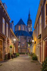 View of the Nieuwe Kerk in Delft by Heidi Bol