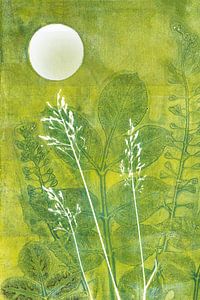 Plantes sauvages au clair de lune sur Lida Bruinen