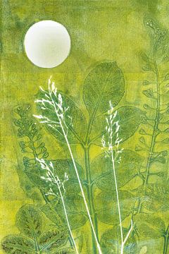 Wildpflanzen im Mondlicht von Lida Bruinen