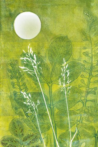 Wilde planten in het maanlicht