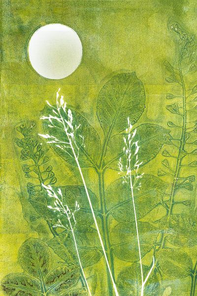 Plantes sauvages au clair de lune par Lida Bruinen