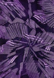 Paarse illusie by Bethina de Reus