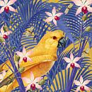 Such a Happy Yellow Parrot by Marja van den Hurk thumbnail