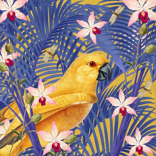 Such a Happy Yellow Parrot