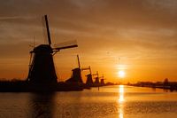 Kinderdijk bij zonsopkomst