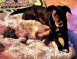 Keeping Calm by Dorothy Berry-Lound