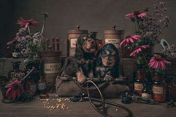 Het juiste medicijn, met cocker spaniel pups van Elles Rijsdijk