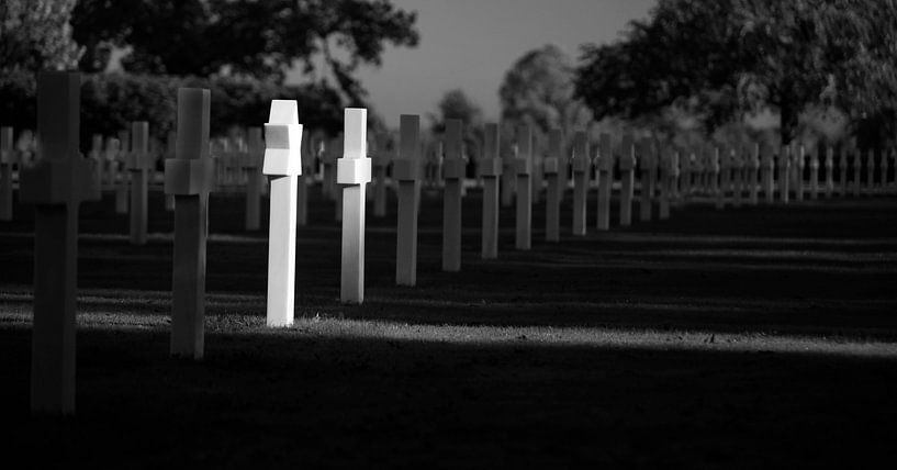 Recalls the madness that is war by Paul van der Lugt