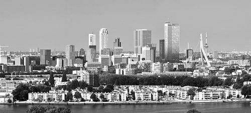 Skyline van Rotterdam met uitzicht op de Erasmusbrug Zwart/Wit