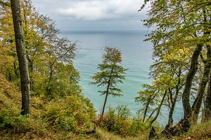 Die Ostseeküste auf der Insel Rügen im Herbst