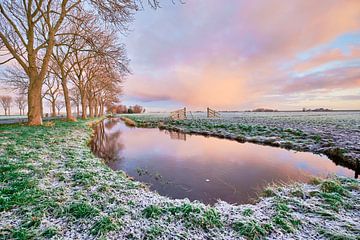 Winter landscape North Holland