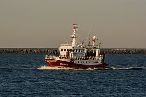 Hochseetrawler UK 145 am frühen Morgen vor IJmuiden
