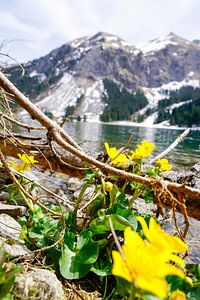 Vilsalpsee im Tannheimer Tal – ein magischer Bergsee mit klaren Farben, ruhiger Atmosphäre und beeindruckender Tiroler Bergkulisse.
