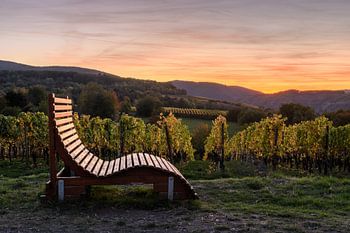 Le calme dans les vignes