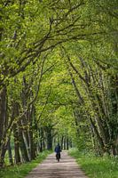 Fietsen door de Achterhoek.