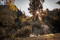 Sunrise Terworm Castle by Rob Boon thumbnail