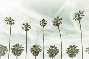 Vintage Palmenidylle