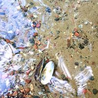 Under the surface 7