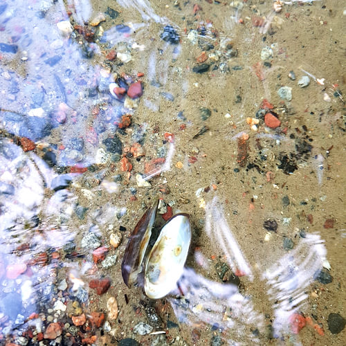 Under the surface 7