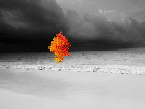 Night beach with glowing tree