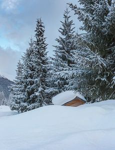 Besneeuwde bomen en een hut, Davos, Graubünden, Zwitserland van Rene van der Meer