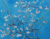 Mandelblüte von Vincent van Gogh (Blau) von Masters Revisited Miniaturansicht