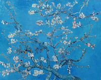 Mandelblüte von Vincent van Gogh (Blau)