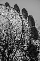 The London Eye