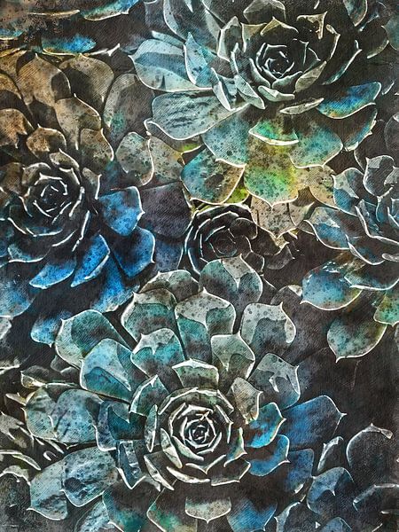succulents green nature art #succulents by JBJart Justyna Jaszke