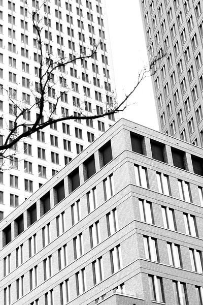 Arbres devant le bâtiment par Wendy Bos